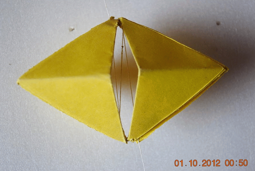 DSC_0338-MOTION.gif