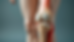 Close-up view of a knee joint model showing cartilage and ligaments