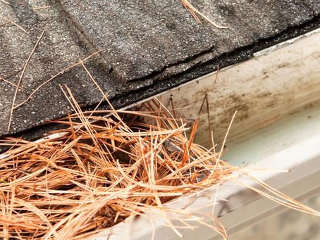 gutter screens Pensacola, Gulf Breeze, Navarre, Fort Walton, Crestview, Cantonment