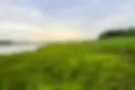 05fd67fa9996-781kim_nagy47039-1920x1280.webp