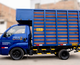 Camión Translogic en Perú