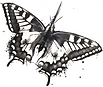 papillon.png