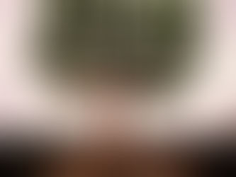 Kiss the ground: el suelo es nuestro mejor amigo