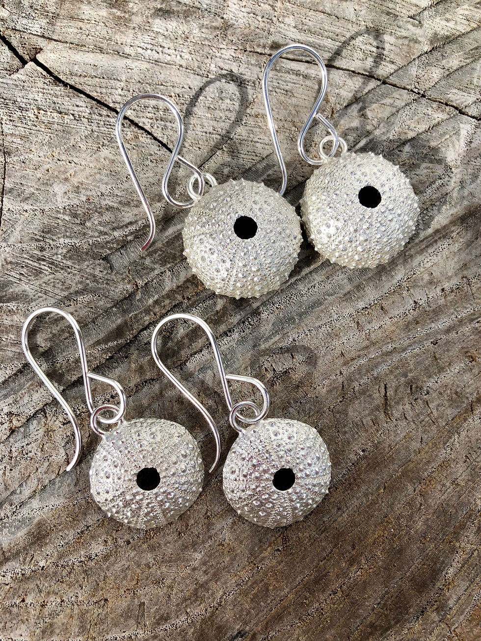 Full and Half Kina Earrings