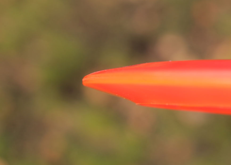 Thumbnail: Discraft Surge-SS (Z Line)