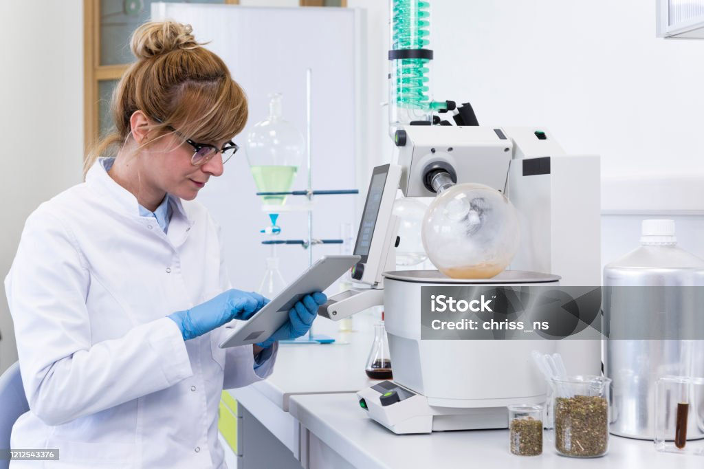 istockphoto-1212543376-1024x1024.jpg