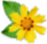 carun ingredient
