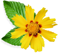 Womens Soul Coaching and Transformation, Kundalini Yoga & Meditation Workshops & Rebirthing, Kundalini Love _ Lorraine Fudge, Redcliffe, Moreton Bay