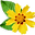 Fleur jaune avec feuille