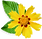 Petite fleur jaune