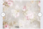 Pink Cream Florals