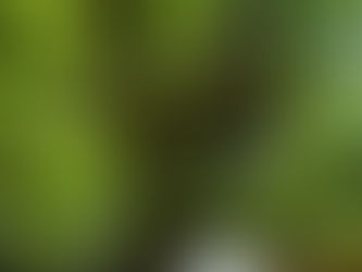 5月のスケジュール