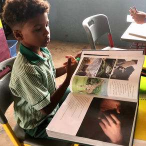 Book Drive 