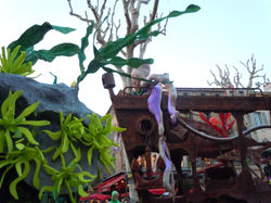 DSCN3801.JPG