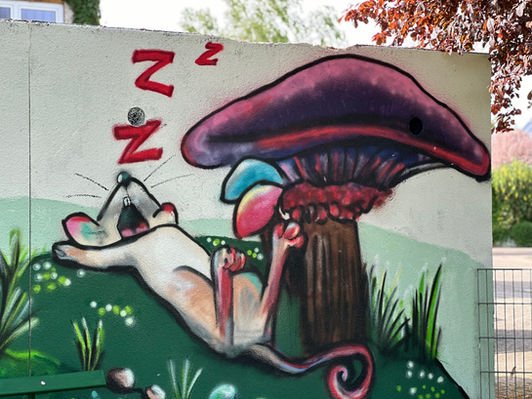 Maus mit Graffiti Gesprüht im Frühling