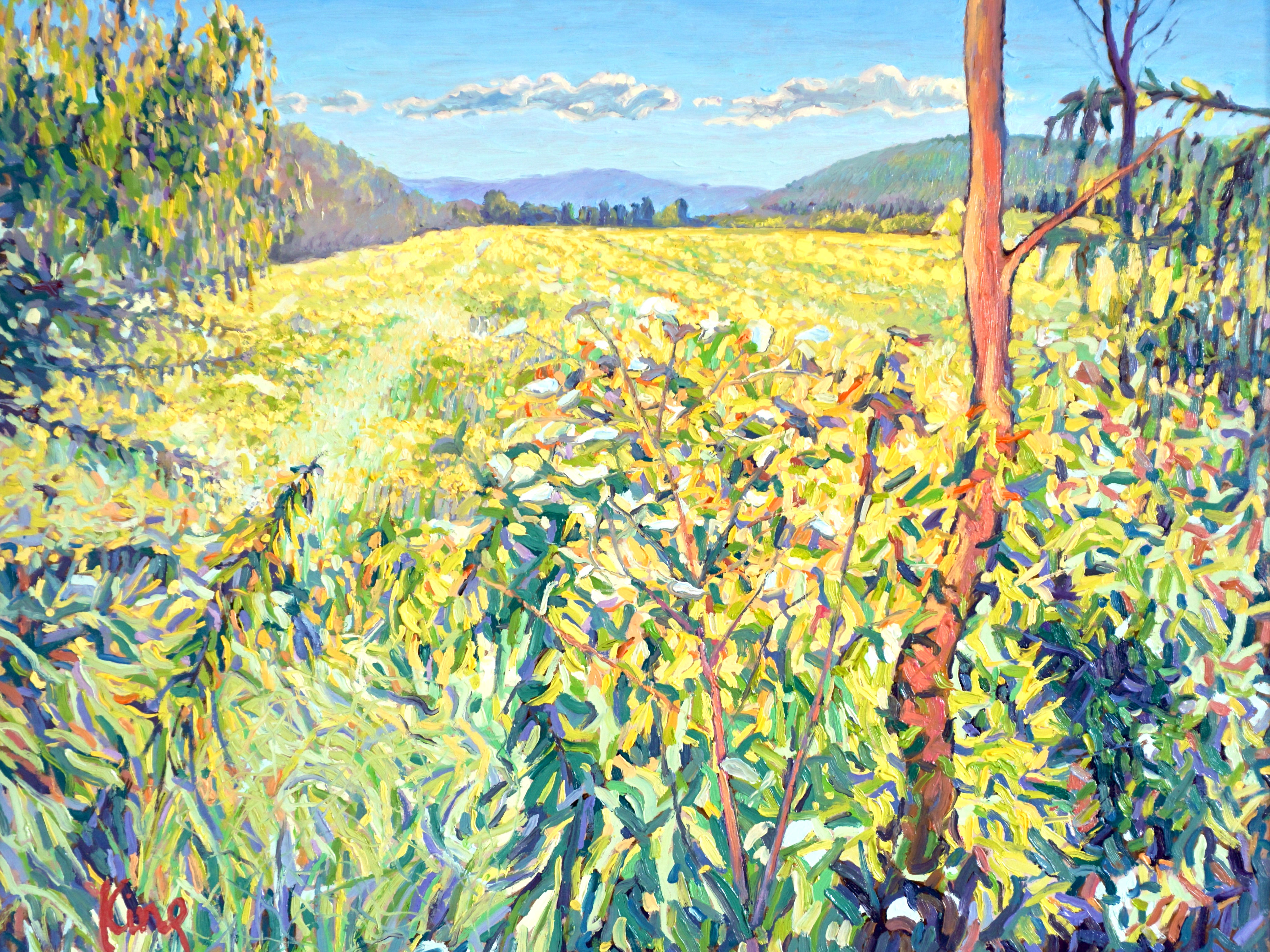 Field of Yellow Wildflowers (print)