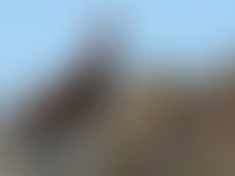 Grouse injustice - a parliamentary farce