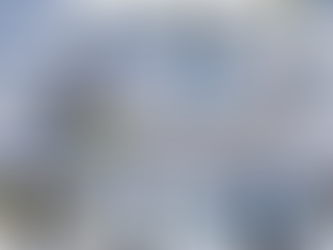 First Turn: The Best Way to Learn at Bear Valley