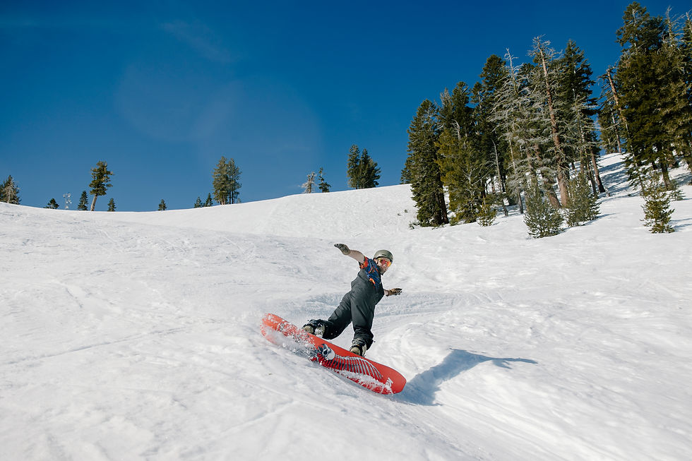 Monday - Wednesday Closure This Week! Back Open on Thursday, March   26th. 