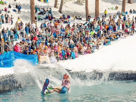 Bear Valley Spring Finale: Final Week Operations & Specials!