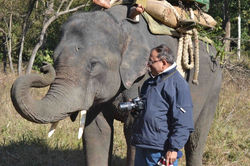 Inside Kanha Tiger Reserve - Central Ind