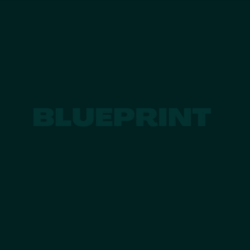 Blueprint Webpackage.gif