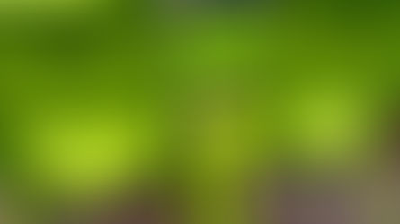 Personalise The EN-ONE