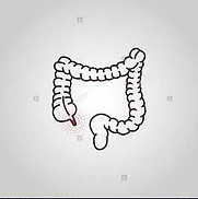 appendix.jpg