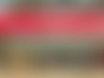 April. 11th, 2025 Health Dancing class