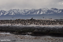 Voyages gwendo photo