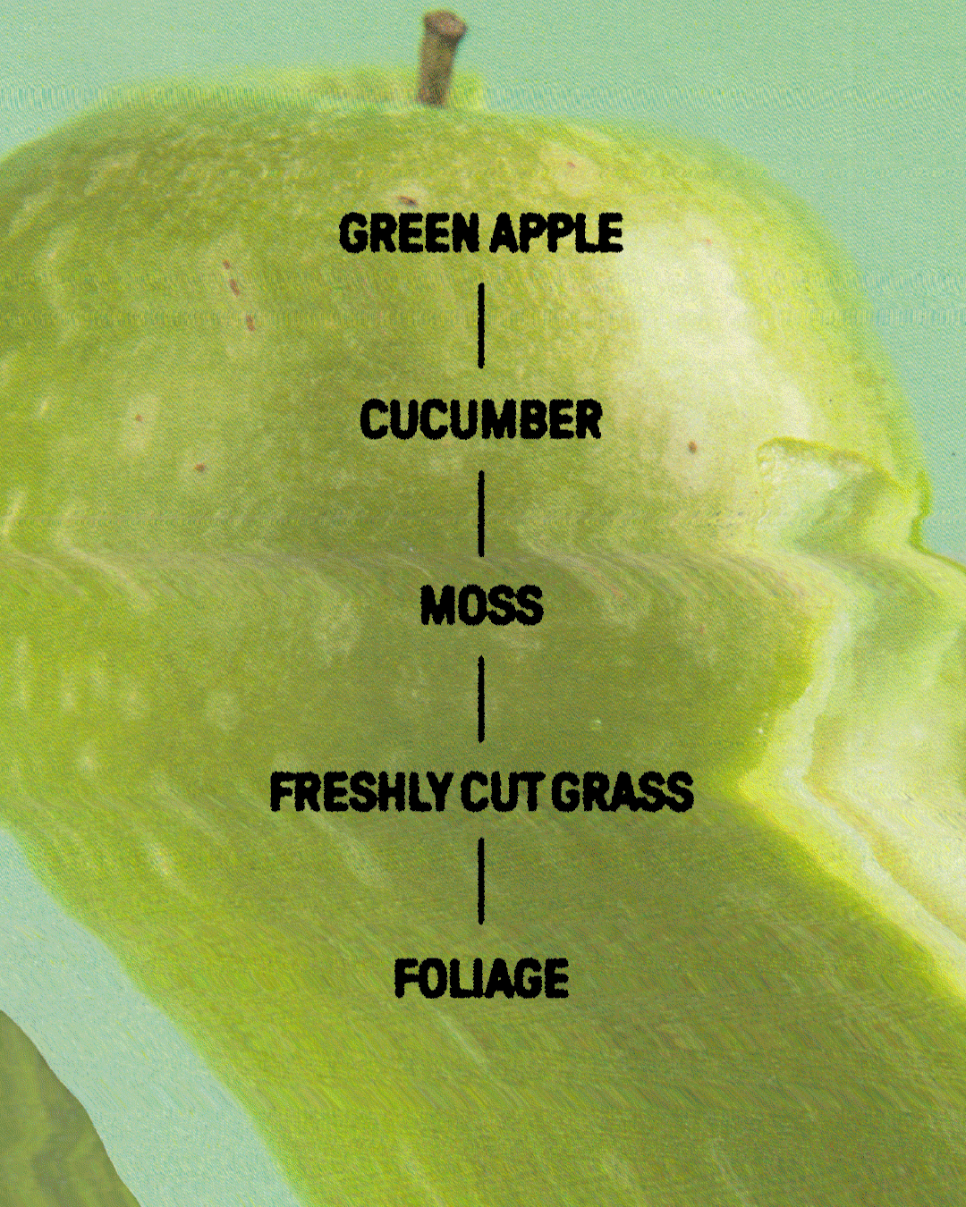 EMPIRICAL-SOKA-ORGANIC-POST-4.gif
