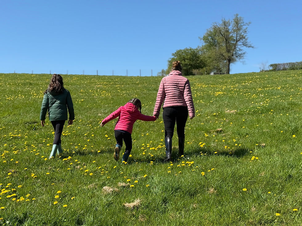 Thumbnail: Wild Cow Experience