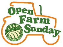leaf open sunday.jpg