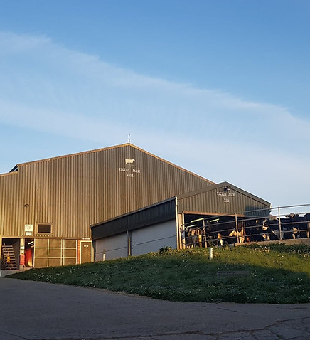 279900107_989288651727274_3813296712947638237_n (1) - Copy.jpg