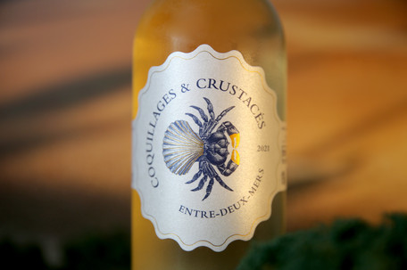 Meilleur Vin rosé Bordeaux, Mon Ptit Ferret vente de Vin Entre-deux mers, vins rosés, blancs secs et blancs doux. Livraison de vins à domicile Bordeaux, Gironde (33)