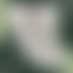 Umite Chef Mixing Bowls with Airtight Lids, 6 piece Stainless Steel Metal Nesting Storage Bowls, Non-Slip Bottoms Size 7, 3.5, 2.5, 2.0,1.5, 1QT, Great for Mixing & Serving (Khaki)