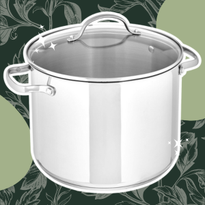 Amazon Basics Stainless Steel Stock Pot with Lid, 8 Quart, Even Heating, Easy to Clean, Silver on a green decorative floral background matching earthy and natural aesthetic of website