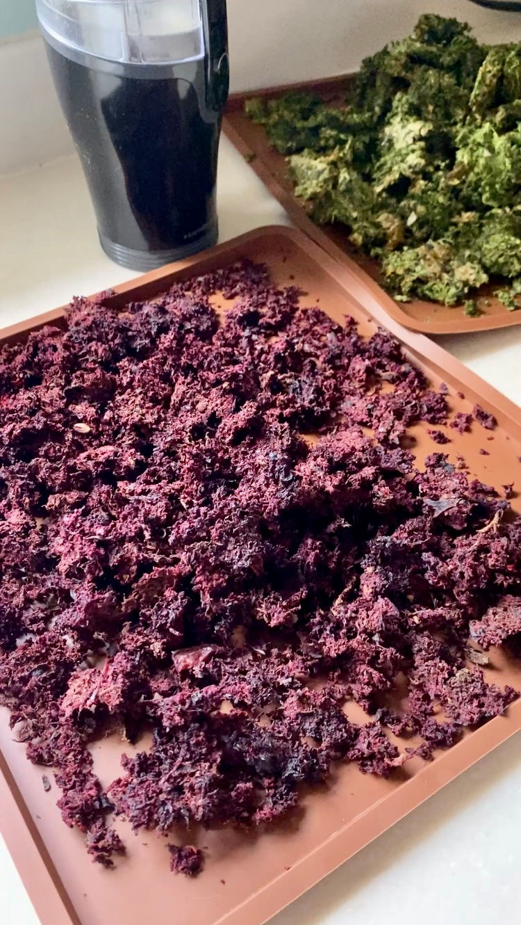 vibrant purple beetroot pulp laying flat on a brown silicone mat ready to be dehydrated and make  homemade beetroot powder