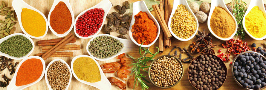 aryan-spices.gif