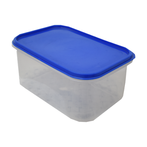Caja Plastica Transparente con Tapa Hermetica Nº 1 25cm x 17cm x 12cm