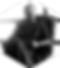 Dash Profile Pic.png