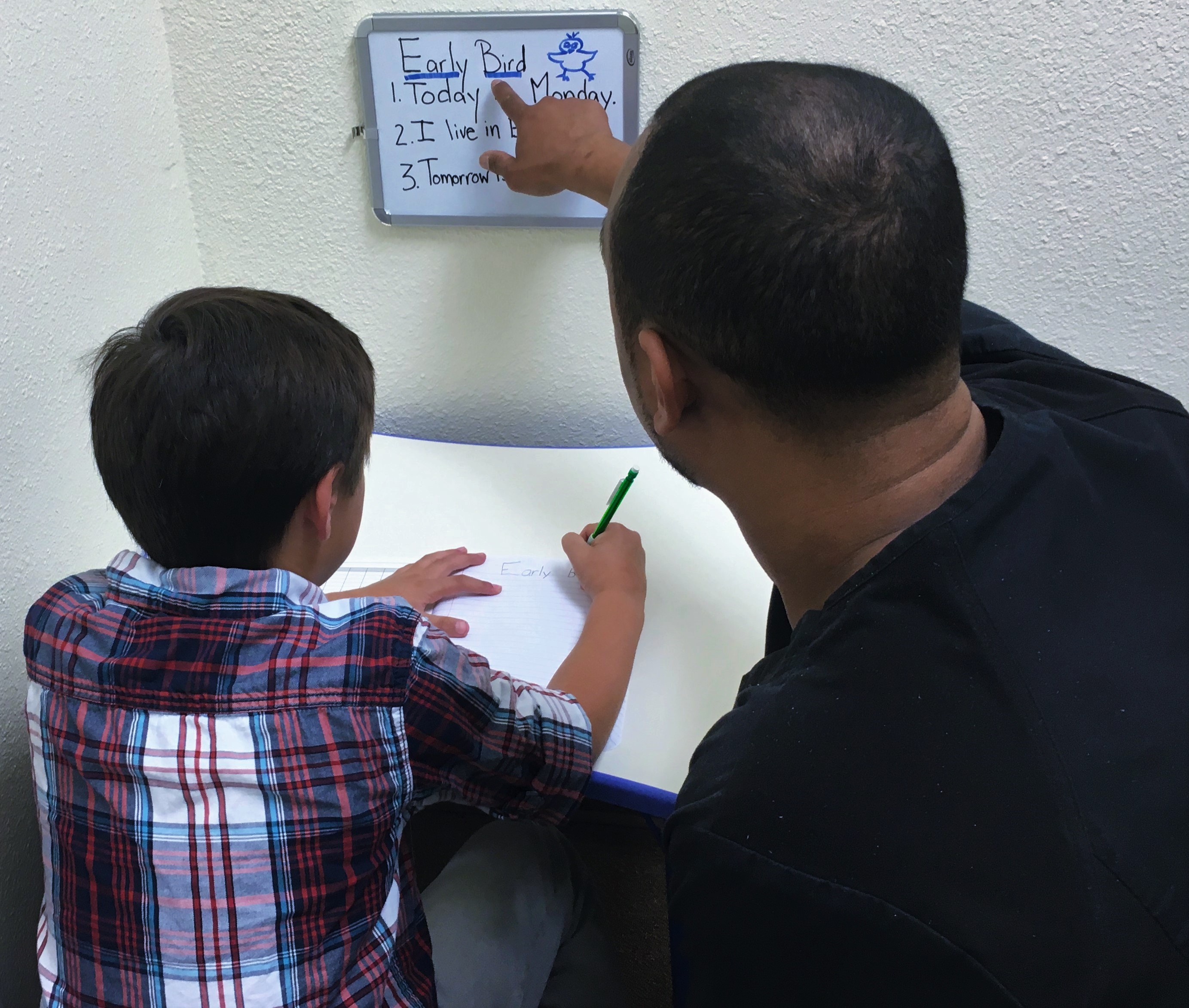 Home | early-bird-therapy