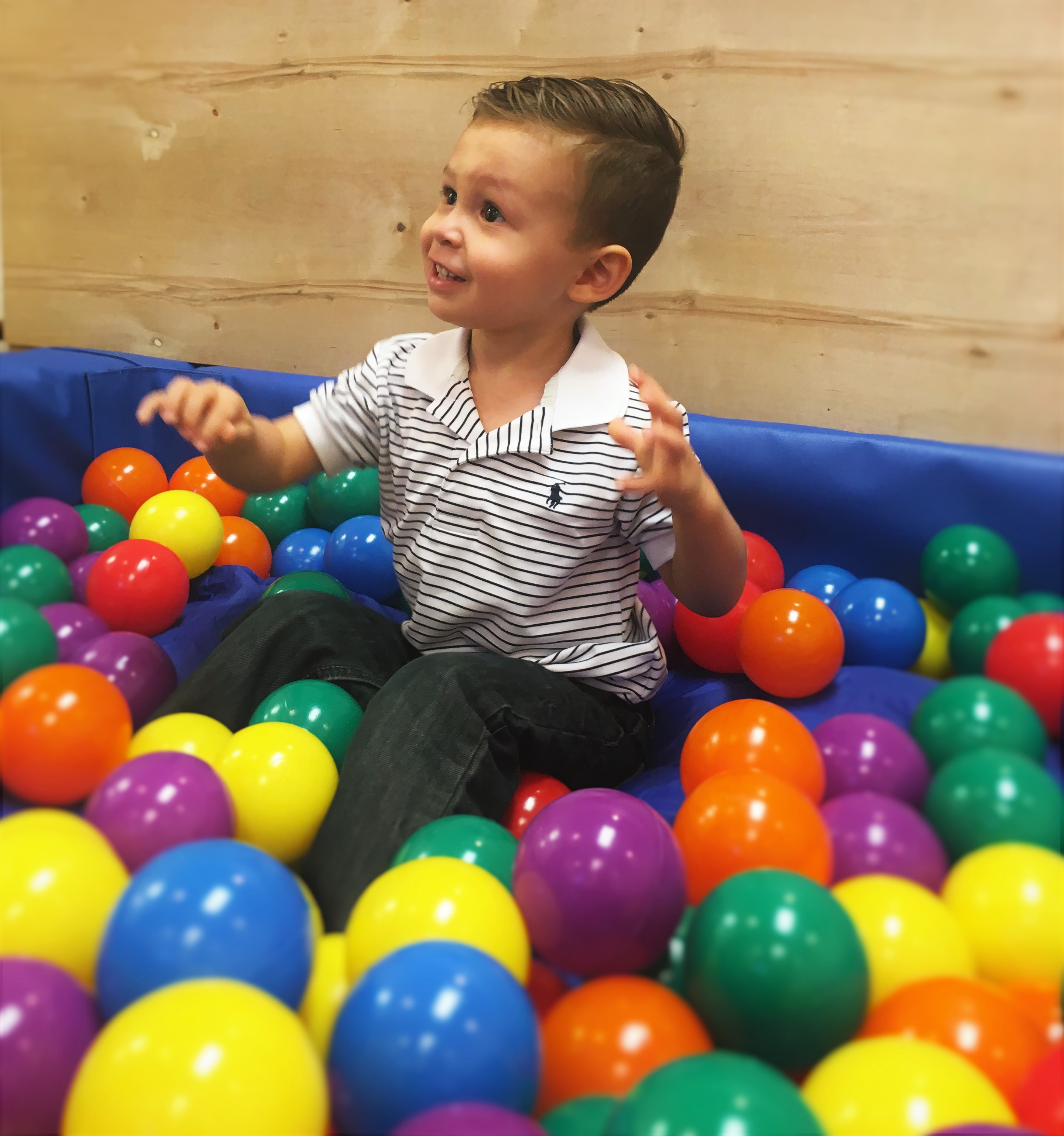 Home | early-bird-therapy