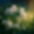 sl3.png