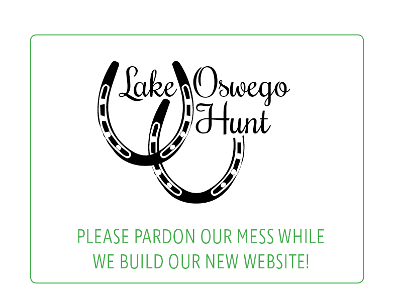 PARDON US VERT