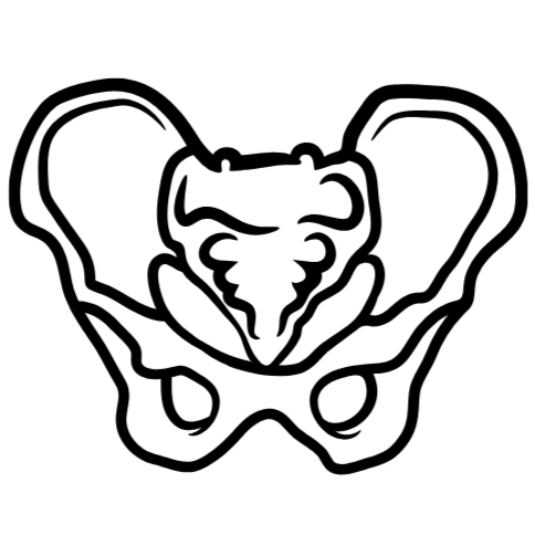 New Icons_edited.jpg