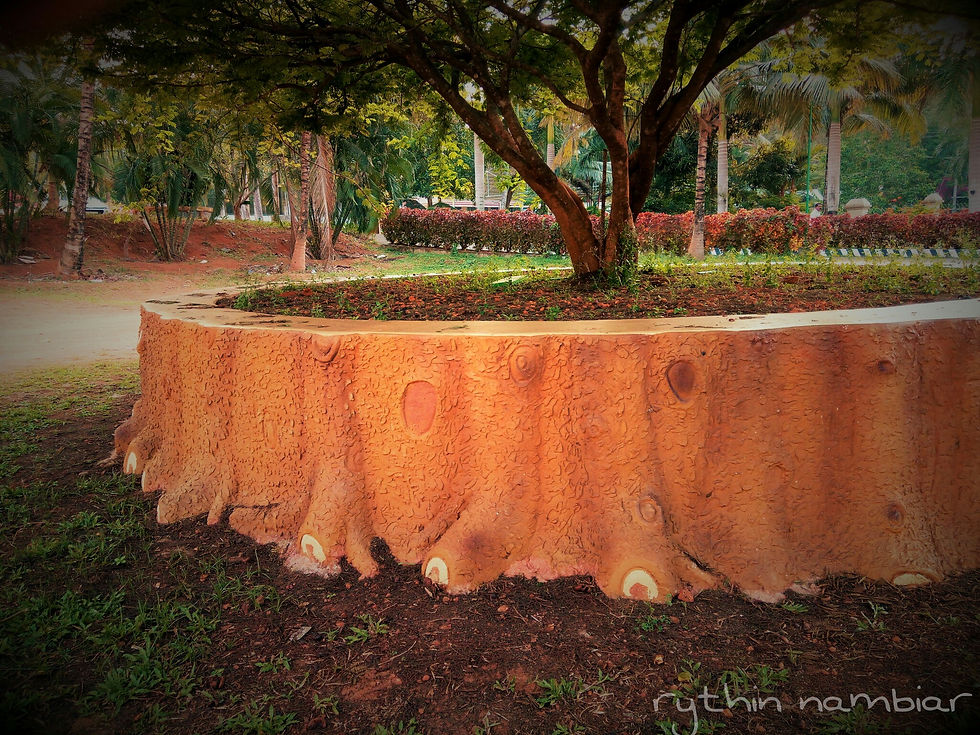 PicsArt_03-13-08.03.15.jpg
