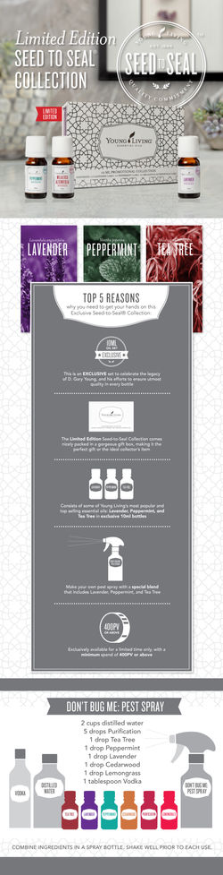10ML-INFOGRAPHICS-FA