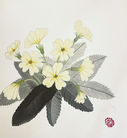 The arrival of spring. 