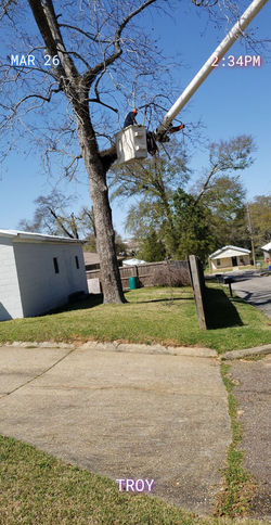 275854089_362383422477141_3223397783926328124_n